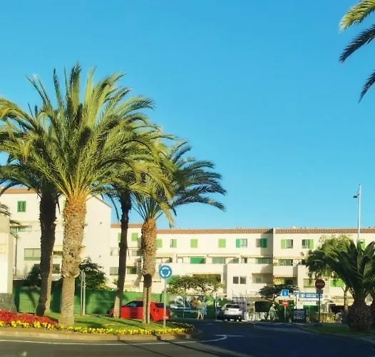 Tropical Haven On Tenerife